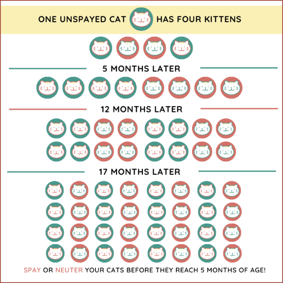 Cat Repopulation Chart